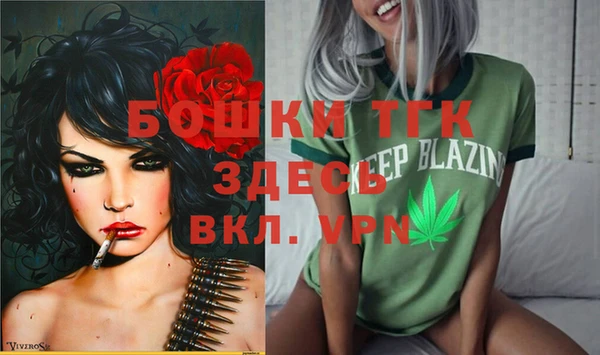 дживик Наволоки