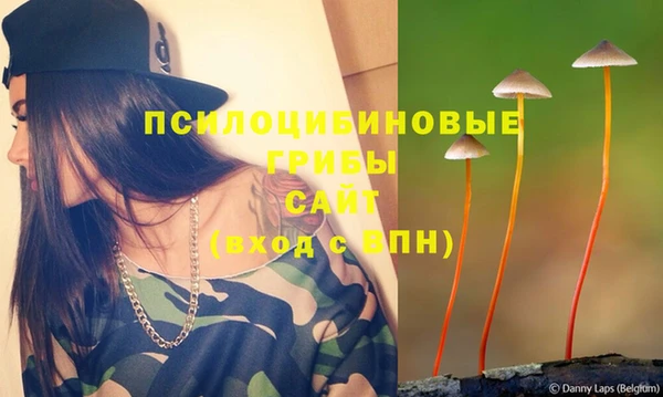 СК Надым