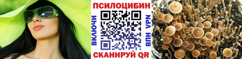 Галлюциногенные грибы Cubensis  как найти закладки  Камбарка 